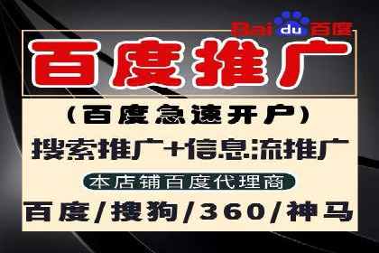 百度SEO推广策略案例：一家公司的成功转型之路